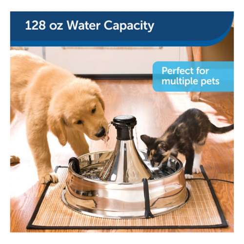 PetSafe Drinkwell 360 Stainless Steel Multi-Pet Dog and Cat Water