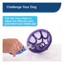 PetSafe Premier Busy Buddy Kibble Nibble Dog Toy