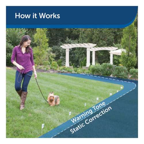 PetSafe Basic In-Ground Fence