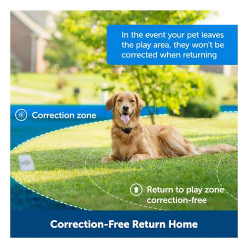 PetSafe Free To Roam Wireless Fence