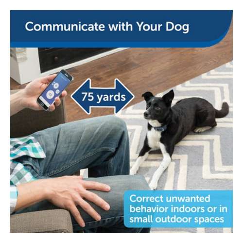 Petsafe smart 2024 dog trainer