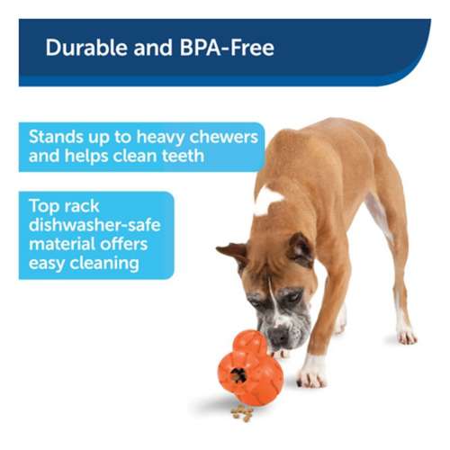 PetSafe Sportsmen Barnacle Toy