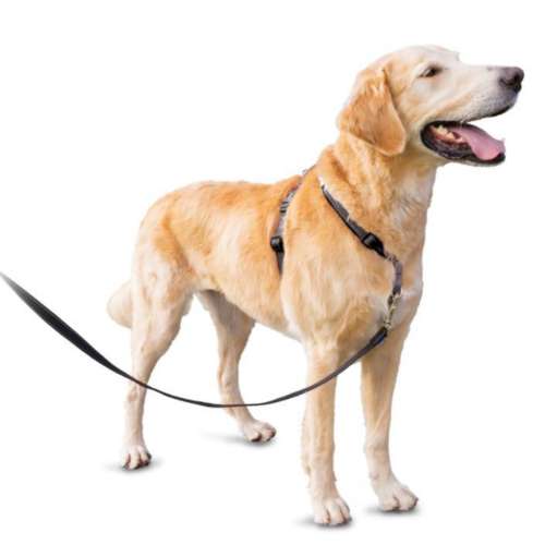 PetSafe 3 in 1 Harness