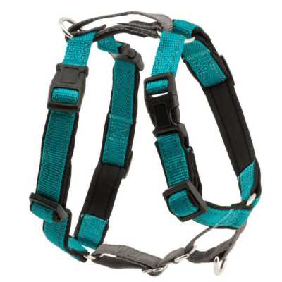 3 in 1 petsafe harness sales