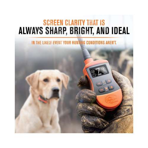 SportDOG SD-1275 SportTrainer Remote Dog Training System Collar Black Edition 