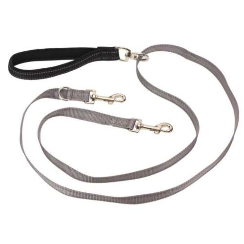 PetSafe Two Point Control Leash