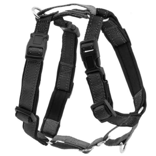 PetSafe 3 in 1 Harness with Two Point Control Leash