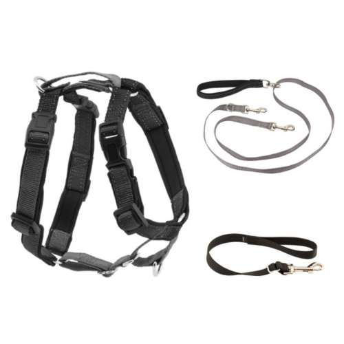 PetSafe 3 in 1 Harness with Two Point Control Leash