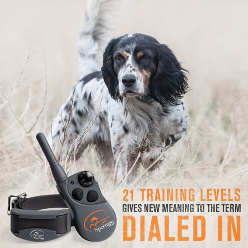 SportDOG FieldTrainer 425X Dog Training Bundle - Primary Image