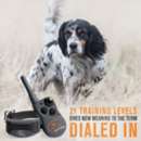 SportDOG FieldTrainer 425X Dog Training Collar