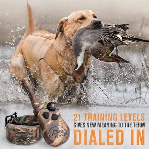 SportDOG WetlandHunter 425X Dog Training Collar