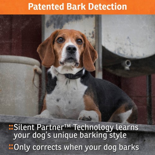 SportDOG NoBark SBC-10 Bark Collar
