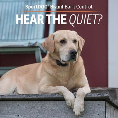 SportDOG NoBark SBC 10 Bark Collar