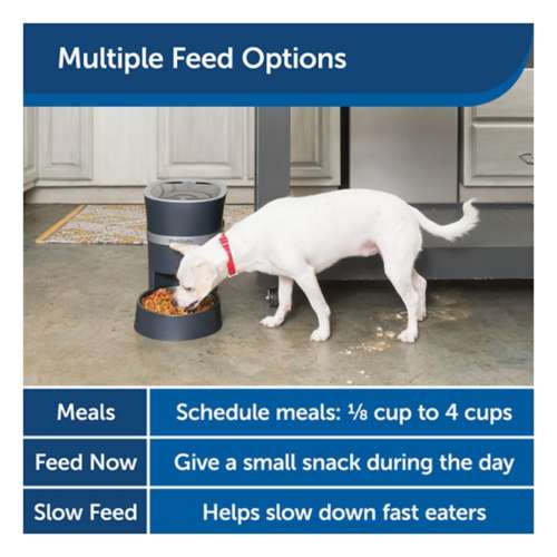 PetSafe Six Meal Automatic Pet Feeder