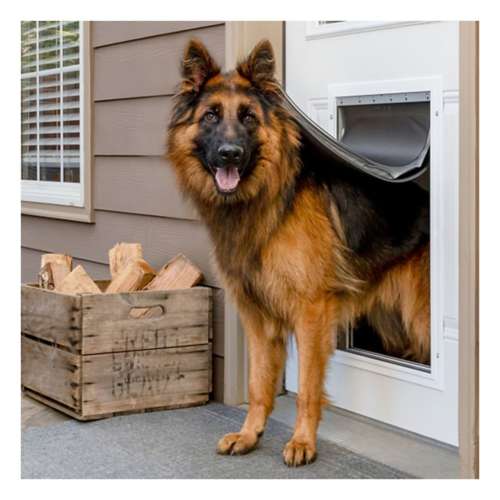 PetSafe Extreme Weather Aluminum Pet Door