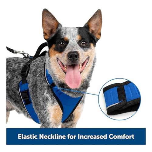 Petsafe easysport hotsell