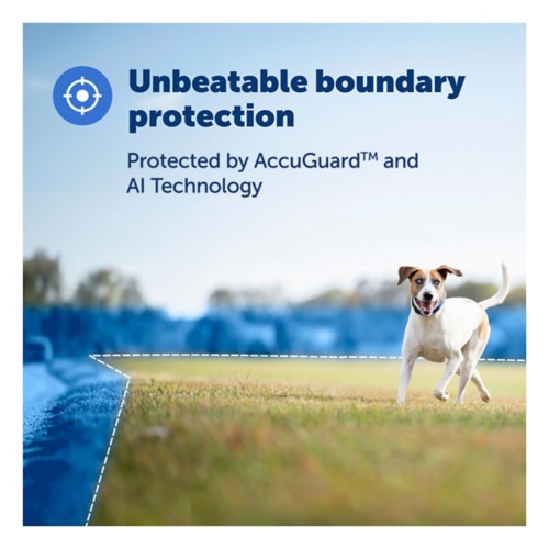 PetSafe Guardian GPS and Fence Dog Collar - Primary Image