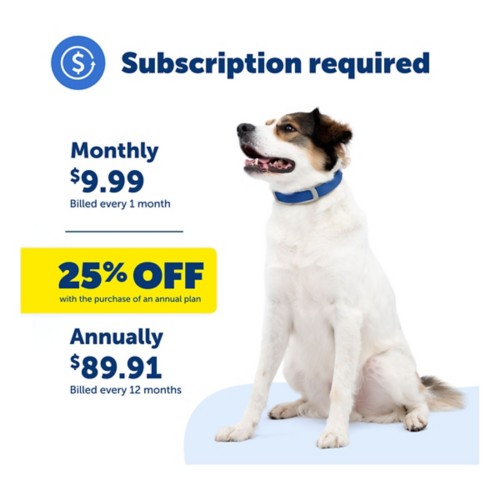 PetSafe Guardian GPS and Fence Dog Collar - Primary Image