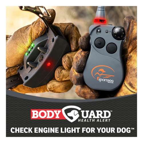 SportDOG Fieldsentinel 1825 Dog Training Bundle