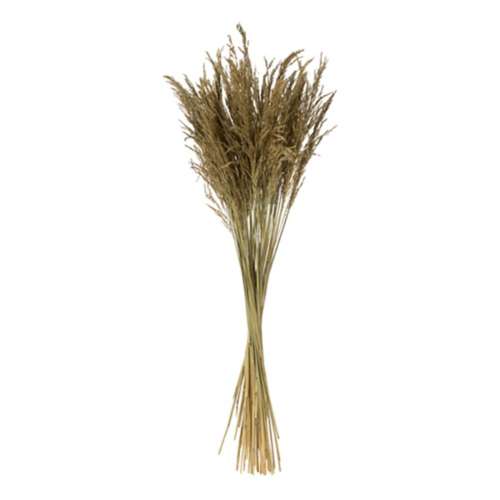Vickerman Company 36" Natural Congo Grass