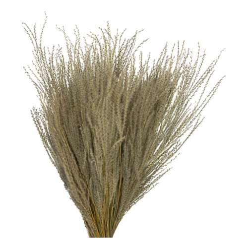 Vickerman Company 14-20" Natural Snowdrop Grass