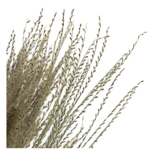 Vickerman Company 14-20" Natural Snowdrop Grass