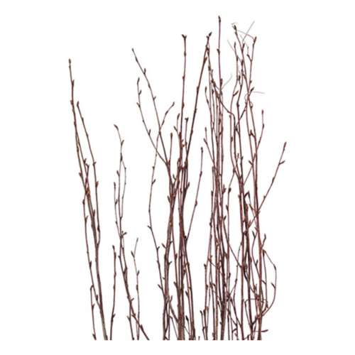 Vickerman Company 45" Dried Natural Brown Birch Twig