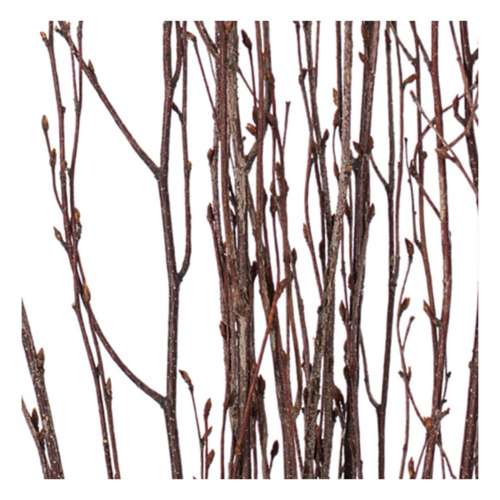 Vickerman Company 45" Dried Natural Brown Birch Twig