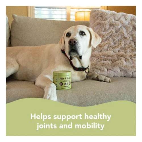 All Baby Clothing 0-24 Monthsmpany Hip & Joint Supplement Dog Chews