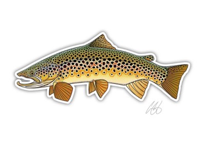 Casey Underwood Artwork Brown Trout Decal Decal