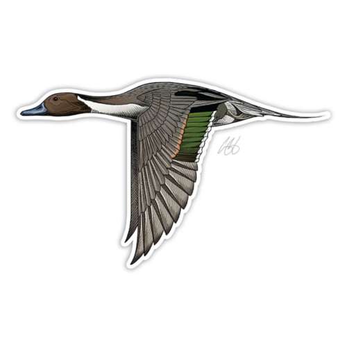 Casey Underwood Northern Pintail Decal