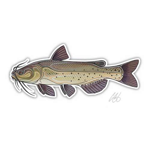 Casey Underwood Artwork Channel Catfish Decal Decal