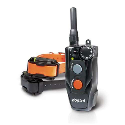 Dogtra 202C Two-Dog Remote Trainer