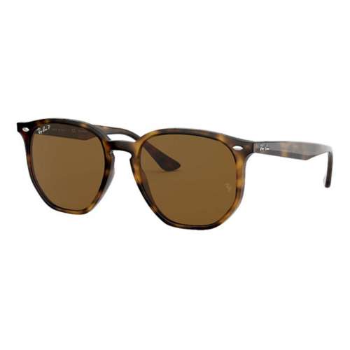 Ray-Ban RB4306 Polarized Sunglasses