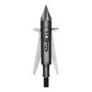 Slick Trick Torch Broadheads