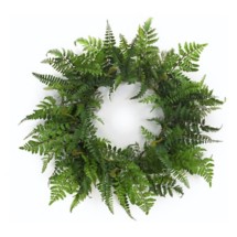 Melrose International Mixed Fern Grapevine Wreath 24"D