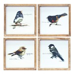 Melrose International Wood Framed Bird Art Print (Set of 4) - Thumbnail 1 of 5