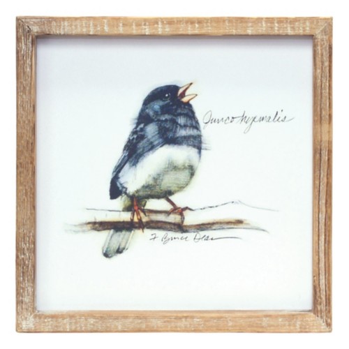 Melrose International Wood Framed Bird Art Print (Set of 4) - Primary Image