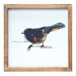 Melrose International Wood Framed Bird Art Print (Set of 4) - Thumbnail 3 of 5