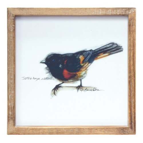 Melrose International Wood Framed Bird Art Print (Set of 4) - Primary Image