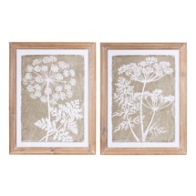 Melrose International Framed Queen Anne's Lace and Fern Wall Art (Set ...