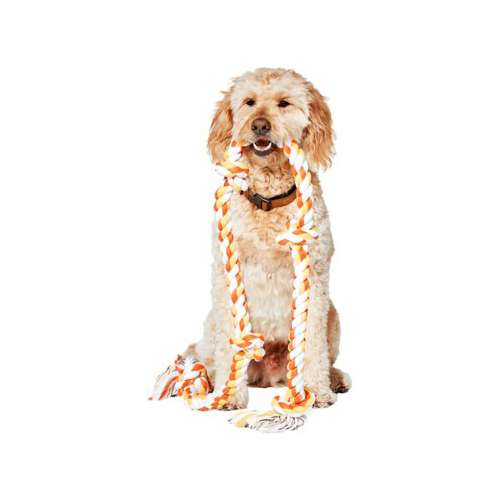 MAMMOTH Flossy Chew 5 Knot Rope Tug Dog Toy 72 Inch