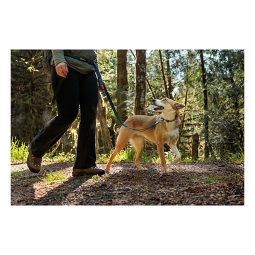 Ruffwear bungee leash sales