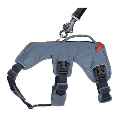 Ruffwear Web Master Dog Harness