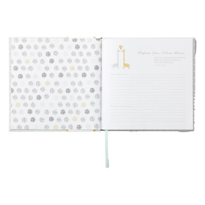 hello little one baby book