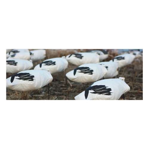 White Rock Snow Goose Windsocks