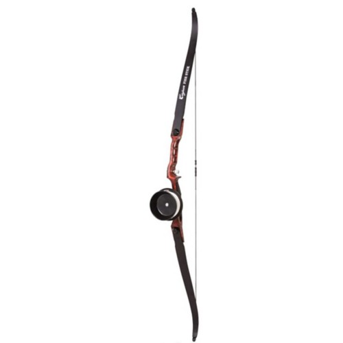 Cajun Fish Stick Ready to Fish Bowfishing Kit - Primary Image