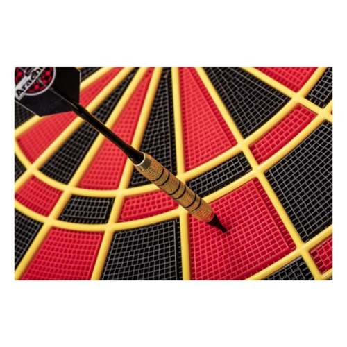 Arachnid Cricket Pro 900 Dartboard