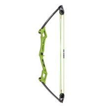 Bear Archery Apprentice Youth Compound Bow
