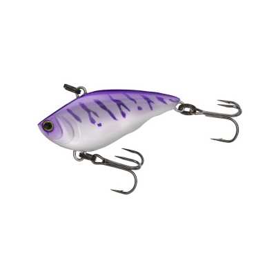UV Purple Tiger